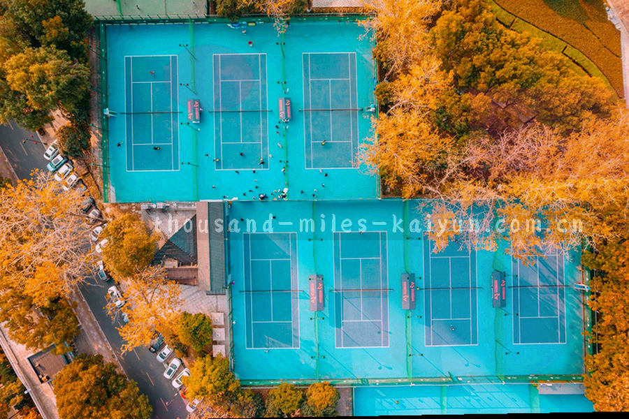 邮箱与电话图标组成的支持渠道图示，几何线性风格，不含真人形象